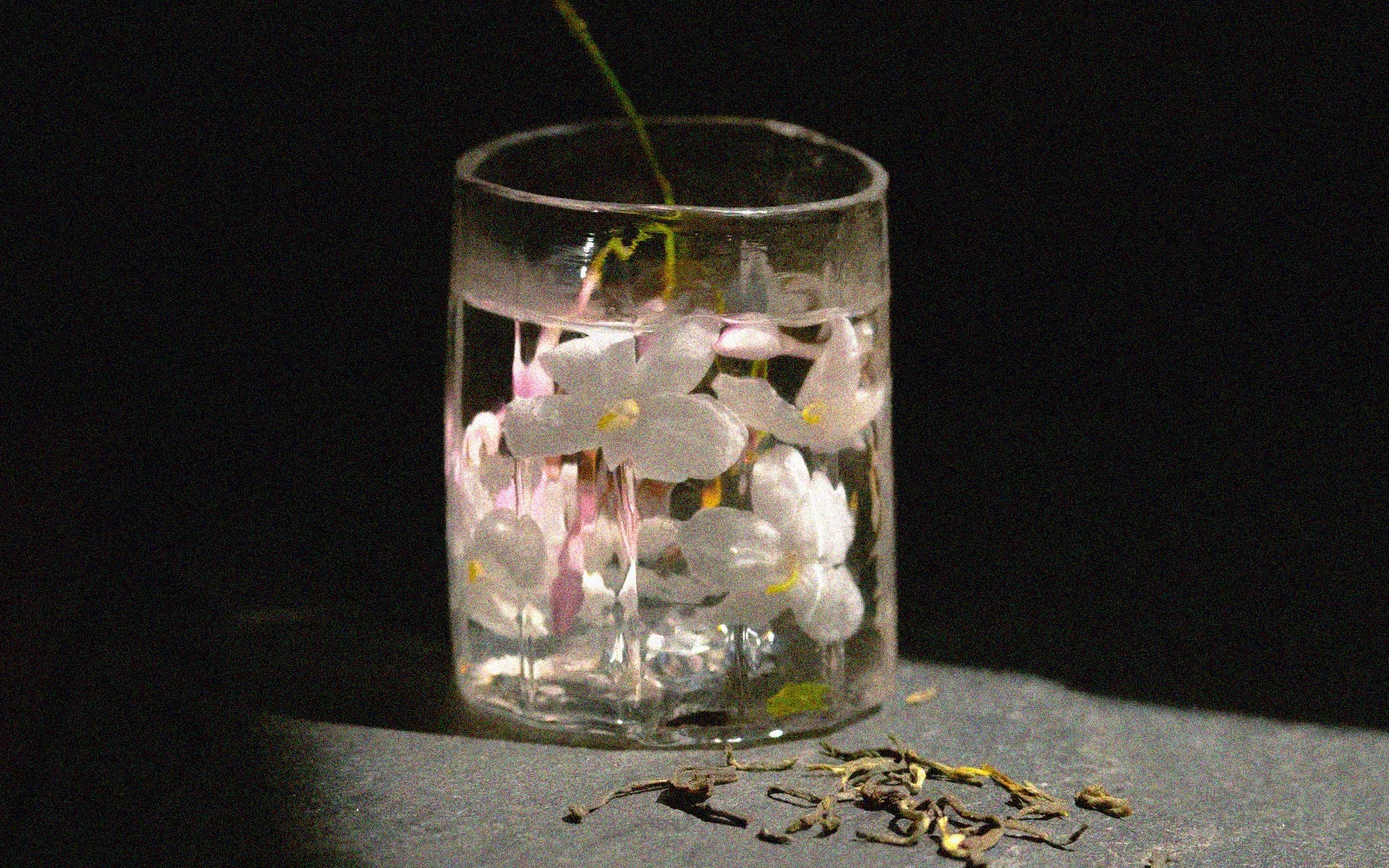 Leaves and Flowers