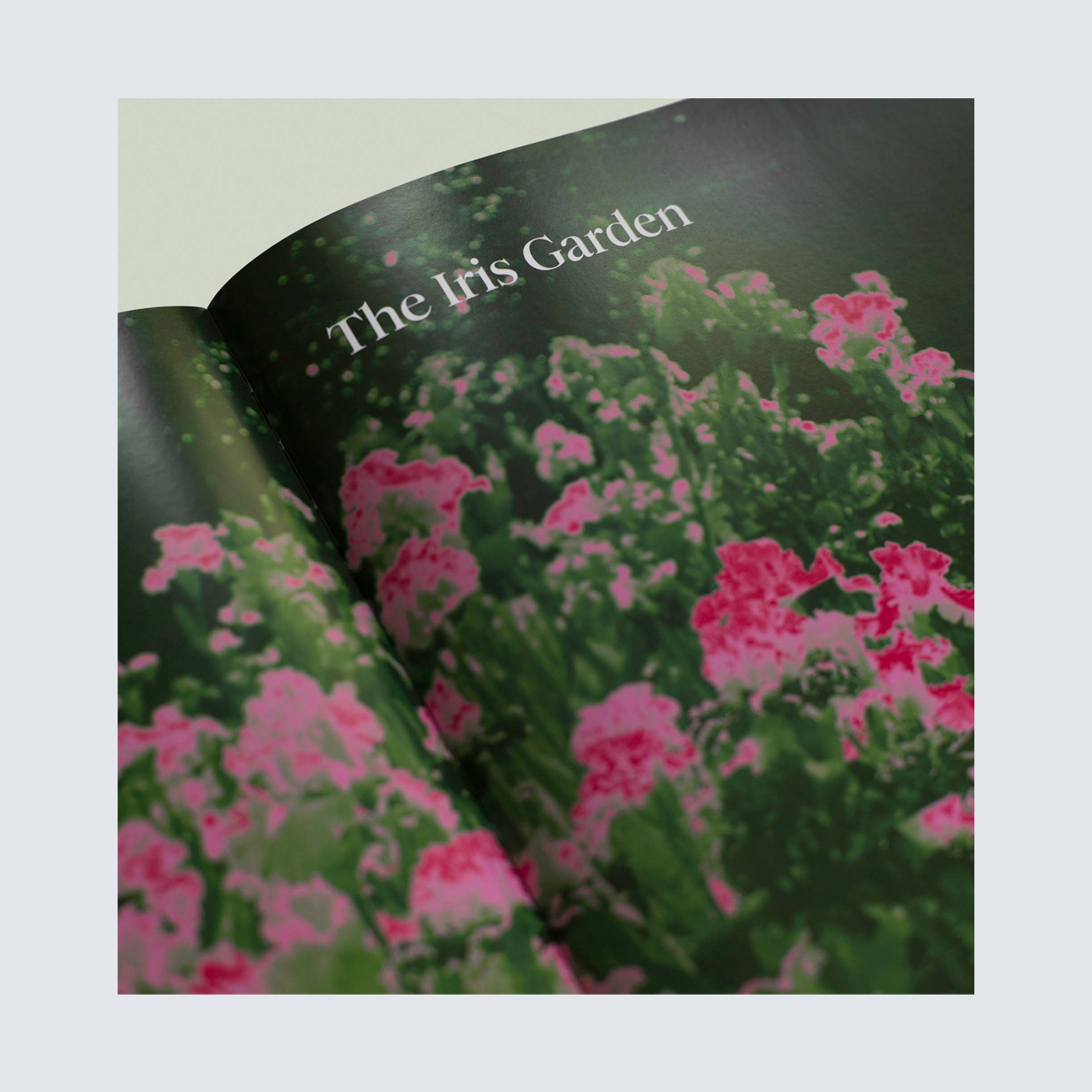 Tasmanian Gardens
