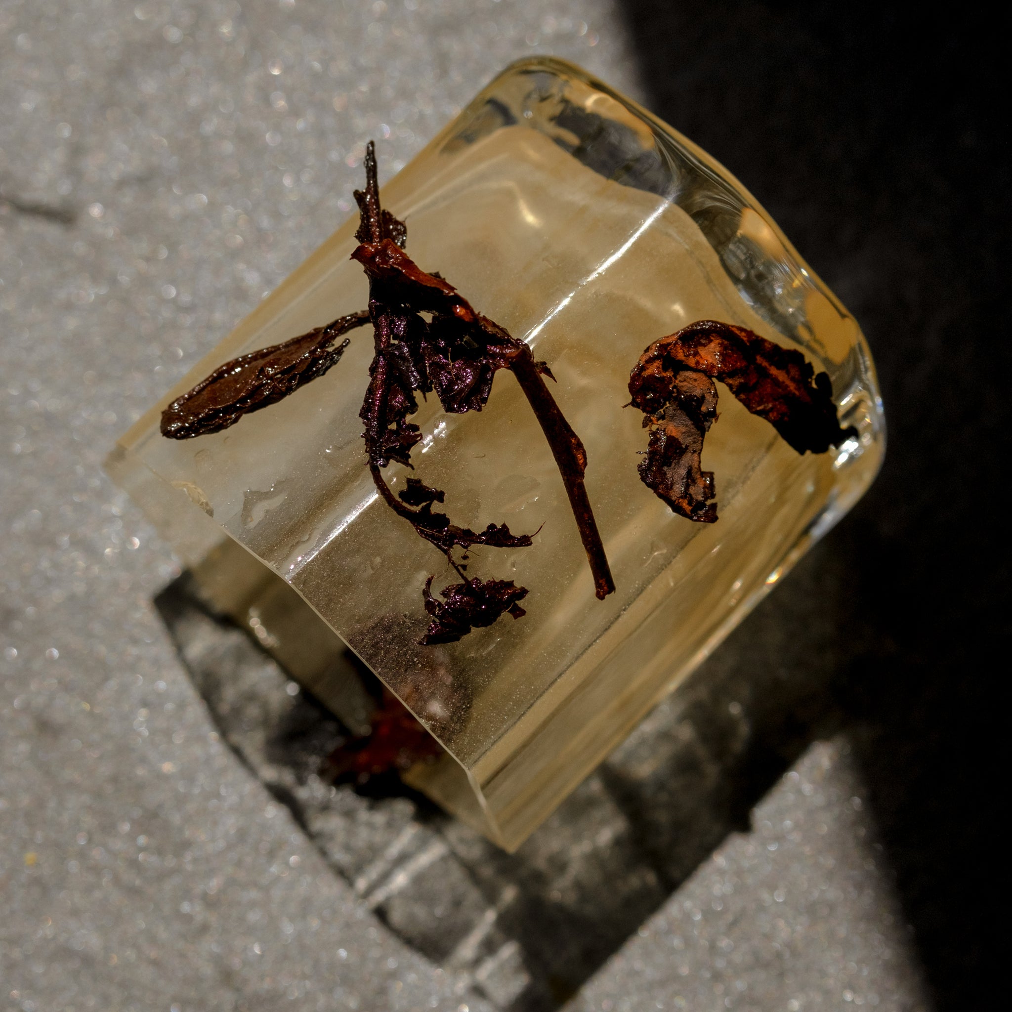 Candy Cap Loose Leaf Tea